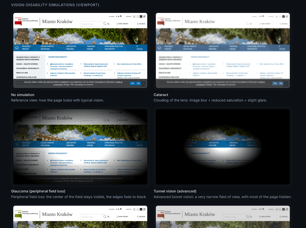 Vision-disability simulations in a Kaveia report: the same page view without simulation and then with cataract, glaucoma and advanced tunnel vision, each one captioned with what the condition does to the image, and further simulations below.